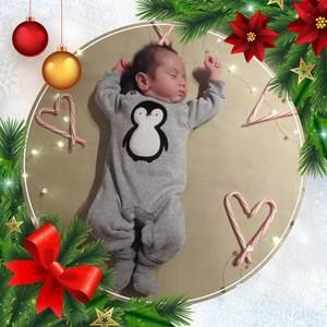 Meet your Posher, Kalani n lei